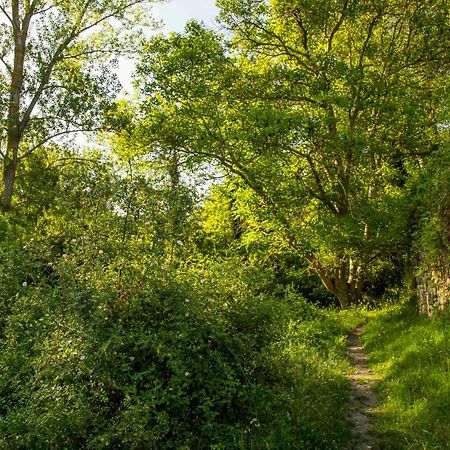 엔시소 Casa Rural El Huerto De La Fragua 게스트하우스 외부 사진