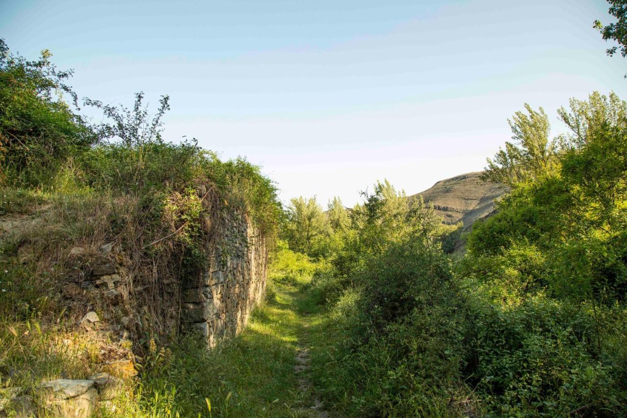 엔시소 Casa Rural El Huerto De La Fragua 게스트하우스 외부 사진