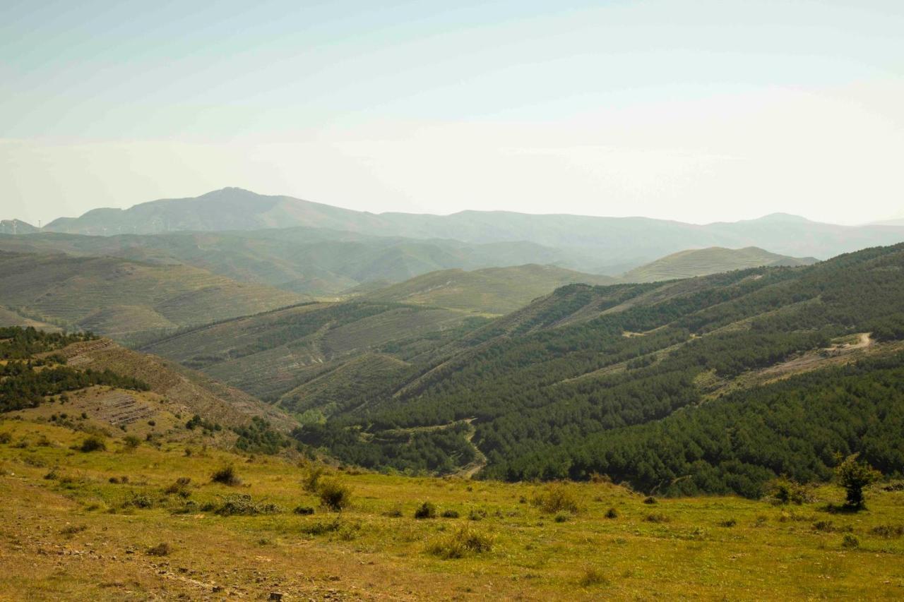 엔시소 Casa Rural El Huerto De La Fragua 게스트하우스 외부 사진