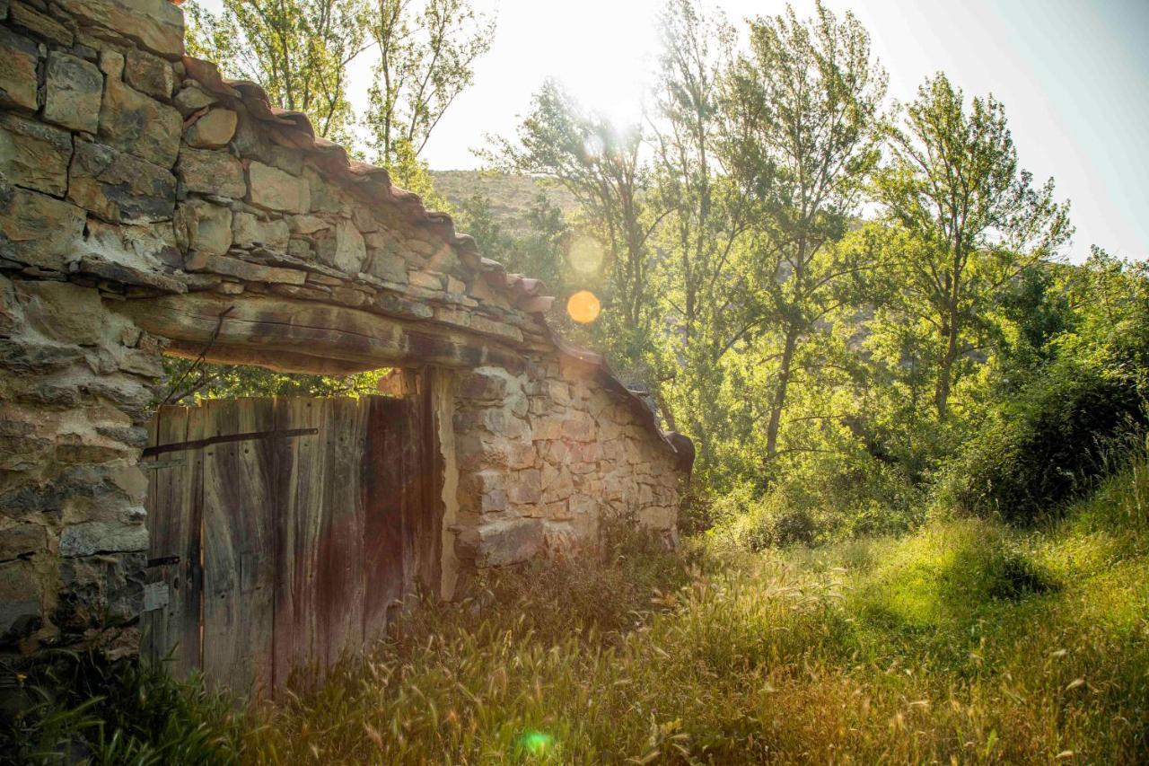 엔시소 Casa Rural El Huerto De La Fragua 게스트하우스 외부 사진